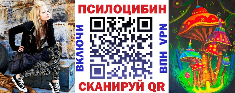 где купить   Сыктывкар  Псилоцибиновые грибы Cubensis 