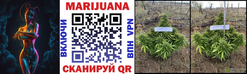 купить наркотик  Сыктывкар  Бошки Шишки Bruce Banner 